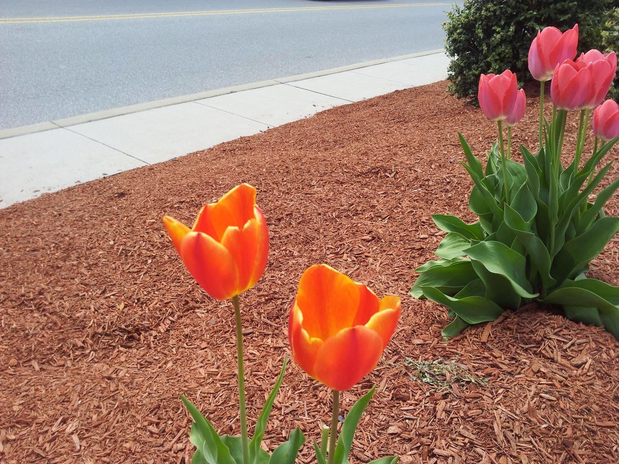 President Inn & Suites Gettysburg Luaran gambar